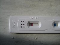 IMG_4886.jpg