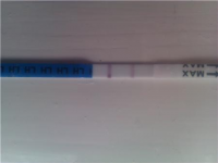 OPK 7th June 2011.png