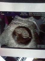 6.10.2011 001.jpg