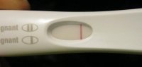 11 dpo fmu 1-10 mins 004.jpg