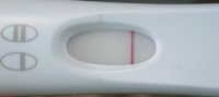 11 dpo fmu 1-10 mins 008.jpg