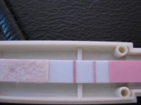 CD16.jpg