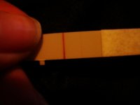 DSC03936.jpg