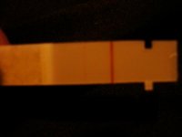 DSC03937.jpg