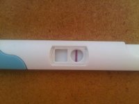 IMG01940-20110614-0814.jpg