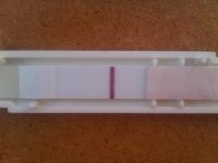 IMG01941-20110614-0815.jpg