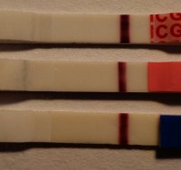 10dpo.jpg