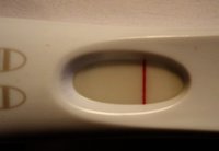 frer10dpo.jpg