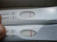 12 dpo versus 13 dpo 001.jpg