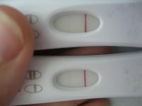 12 dpo versus 13 dpo 003.jpg