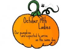 pumpkinoption4.jpg
