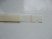 DSCF9347.jpg