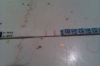 6-17opk2.jpg