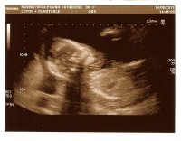 scan1.jpg