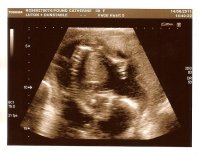scan2.jpg