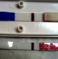 img20110617074500edit0.jpg