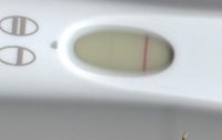 frer 10dpo 001.jpg