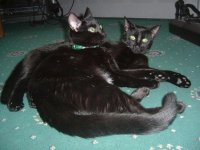 DSCF2414.jpg
