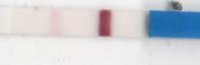 11dpo ic 001.jpg