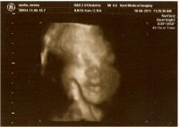 30 weeks 4d.jpg
