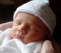 Archie - 5 days old 2.jpg