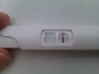 IMAG0267.jpg