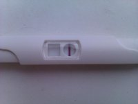 IMAG0266.jpg