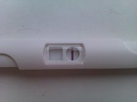 IMAG0265.jpg