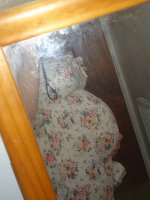 DSC02414.jpg