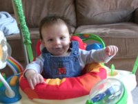 10 weeks old (6).jpg