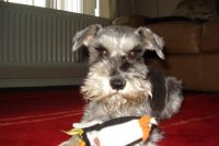 Picture July 2010 120.jpg