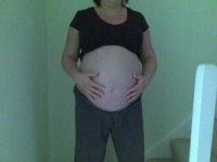 bump 31 plus 3 frontal.jpg