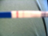 ZB180808 am.jpg