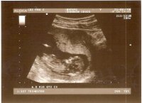 shannons scan.jpg