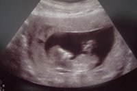 scan 001.jpg