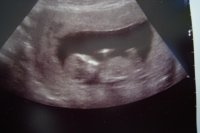 scan 002.jpg