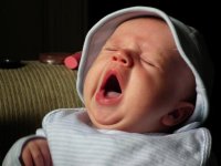 Big Yawn.jpg