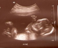 scan0001.jpg