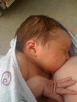 photo.4JPG.jpg