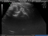 BABY_1_6.jpg