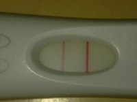 Picture 002.jpg
