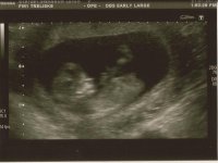 Scan2 11+5a.jpg