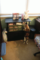 nursery-complete-011.gif
