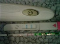 pic 2.jpg