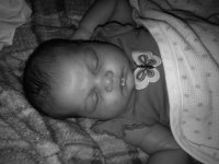 IMG00646-20110706-0547.jpg