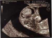 scan 1.jpg