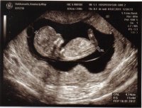 scan 5.jpg
