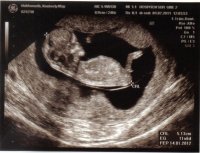 scan 4.jpg