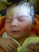 Bradford-20110703-00055.jpg