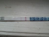 OPK CD14.jpg